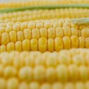 경재농장 이미지