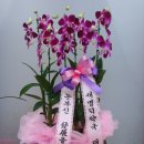 새명덕약국 이미지