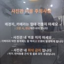 서현애견미용실 | 🐾 강아지랑 가족사진, 여기서 찍으면 됩니다 ㅡ 서현역 어반 셀프사진관 후기