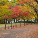 완주농장 이미지