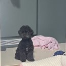 닥치고 팔자 | 내가 기억하려고 쓰는 신점 후기