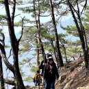 왕피천유역 생태탐방로(1코스) | 경북 울진 왕피천(王避川) 계곡 트래킹