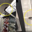 훼미리마트 이미지