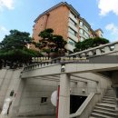 서래빌리지5，6층