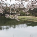 그꽃길 이미지