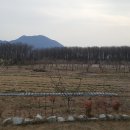 설봉농장 이미지