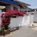 도솔민박 이미지