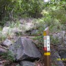 상학초등학교 이미지