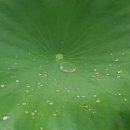 영롱농장 이미지