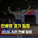 안세영 2026 시즌 경기 일정 월별 주요 대회 일정 총정리 이미지