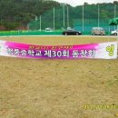 청풍공설운동장 공설운동장 이미지