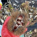 어쩌다민박 이미지