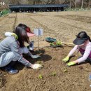 일대농장(1) 이미지