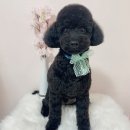 블랙미용타운