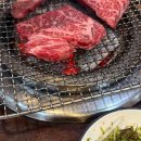 살롱드678