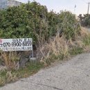 바언제주(바람의언덕) 이미지