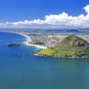 플렌티숲 이미지