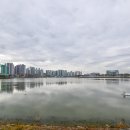 성성호수공원 이미지