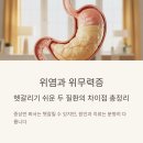 기능성 위장관 질환의 식이관리 | 위염과 위무력증, 헷갈리기 쉬운 두 질환의 차이점 총정리