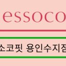 에소코핏용인