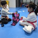 강호 해솔 태권도 이미지