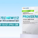 프로비던스 - 동구 화랑로80길 20-1 | 프로비던스