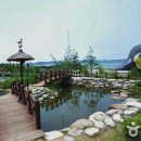 금강철새조망대 이미지