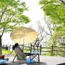 정선군생태체험학습장캠핑장 이미지