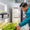 마포구청 이미지