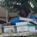 덕이네농장 이미지