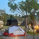 수풀누리 잔디마당 이미지