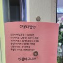 아나주플라워 | 경산꽃집 옥곡동꽃집 가성비 좋은 꽃집 아나주플라워