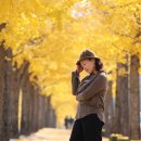 꿈에 선율 이미지