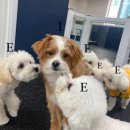 신온7길 이미지