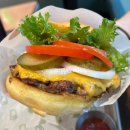 쉐이크쉑 서면 | 부산 서면 삼정타워 맛집 쉐이크쉑 내돈내산 솔직후기