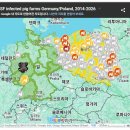 폴란드/독일 아프리카돼지열병(ASF) 발생: 폴란드 농장에서 2만 1천 마리 이상의 돼지가 감염됨 이미지
