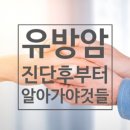 유방암 진단부터 챙겨야할 것들 이미지