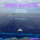 씨유 포항이동다올 | 경주 감포 샵앤플렛풀빌라&amp;호텔 오션뷰 애견동반숙소