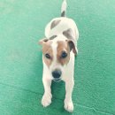 씽크독스쿨 이미지