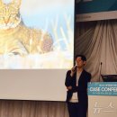 VIP 동물의료센터 이미지