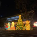 GS25중동스타 이미지