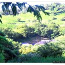 명산약국 이미지