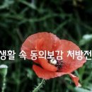 [생활 속 동의보감 처방전] 이미지