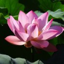 김포 자연 농장 이미지