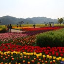 낙동강변16 이미지