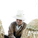 초가장