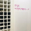 비땅기헤어 이미지