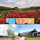 제312차 전남 곡성군 세계장미꽃축제. 기차마을 둘레길 트레킹 이미지