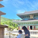 1박2일 Daum카페