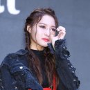 시연 티브이데일리